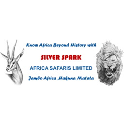 Silver Spark Africa Limited